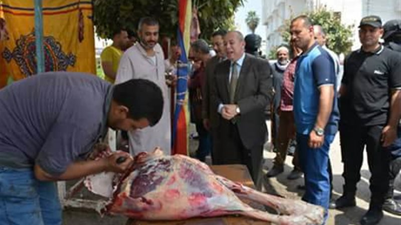 رحلة المغتربين