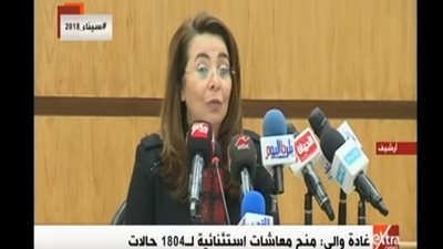 فيديو| غادة والي: منح معاشات استثنائية لأكثر من 1800 حالة