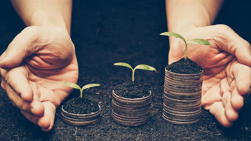 المشروعات المتوسطة