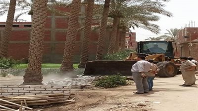 صور| ازالة 10 حالات تعد علي الأرض الزراعية في الخانكة