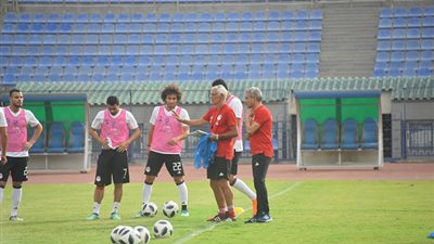 الجالية المصرية تؤازر المنتخب قبل ودية الكويت