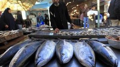 تباين أسعار الأسماك اليوم.. و