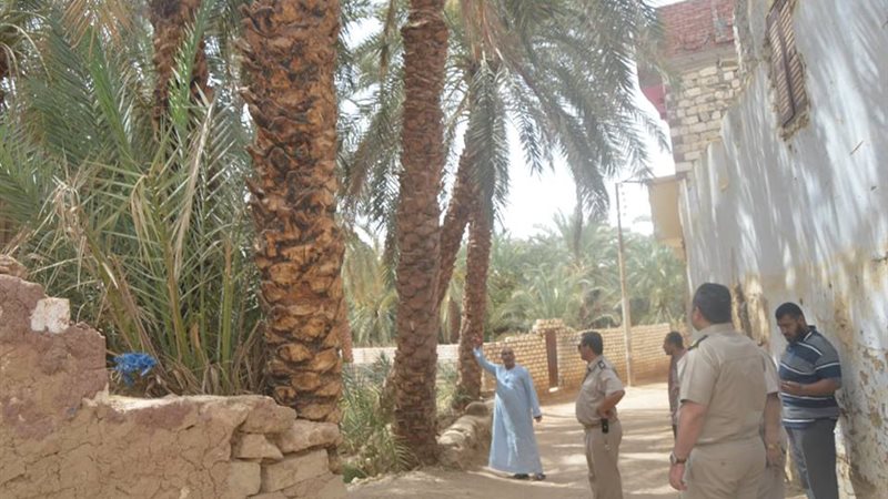 قرارات إزالة 