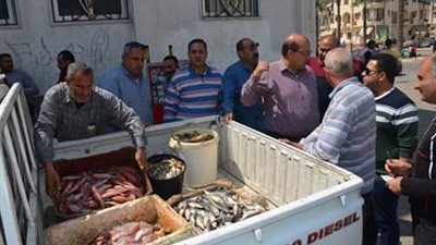 ضبط طن ونصف أسماك فاسدة بـ دمياط 