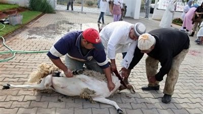 فيديو | نادية عمارة تكشف: التقصير في الوفاء بالنذر سبب متاعب الإنسان 