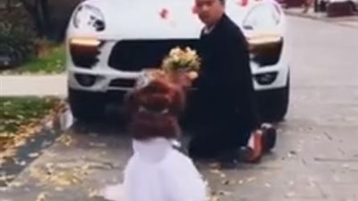 فيديو|  رد فعل مثير من كلب طلب رجل يده 