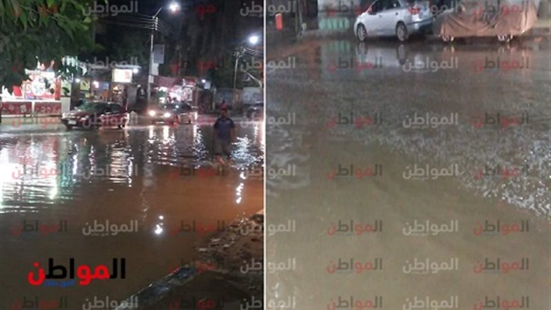 المواطن
