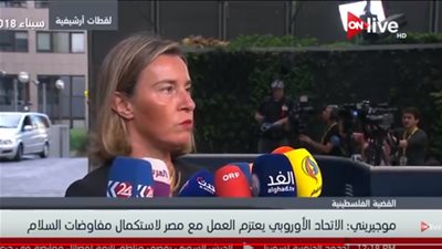 فيديو| موجيريني: نعتزم العمل مع مصر من أجل استكمال مفاوضات السلام