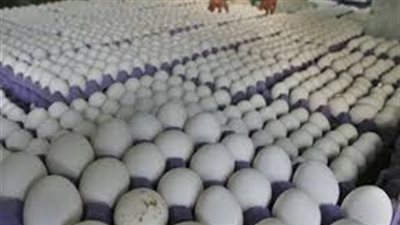 أسعار بيض المائدة اليوم