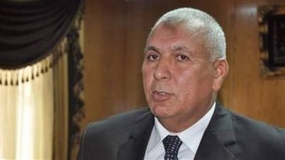 صحة الوادي الجديد: إعدام 66 كجم أغذية فاسدة و11 محضر لـ