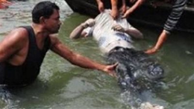 مصرع طفل غرقا في نهر النيل بـ 