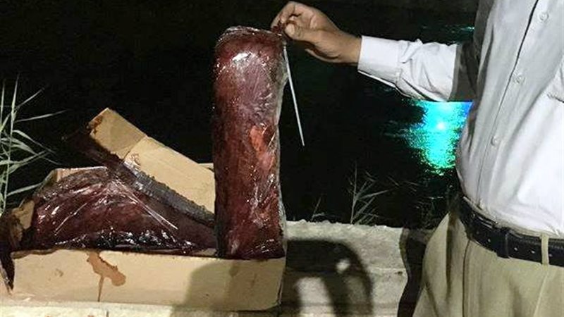 حملات تموينية