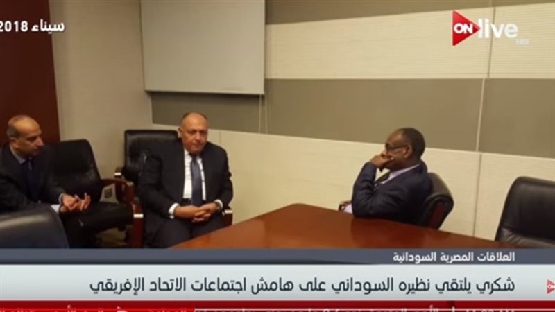 سامح شكري ونظيره