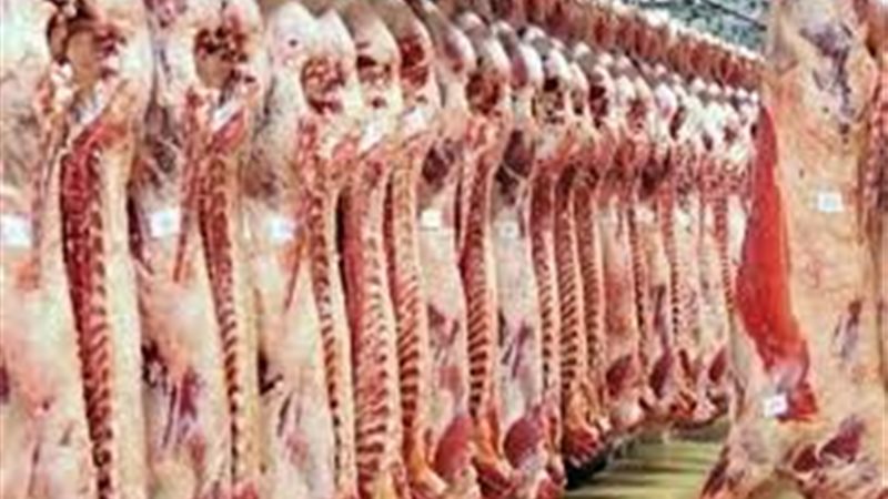 أسعار اللحوم اليوم