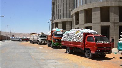 توريد 313 ألف طن قمح منذ بدء موسم الحصاد بـ 