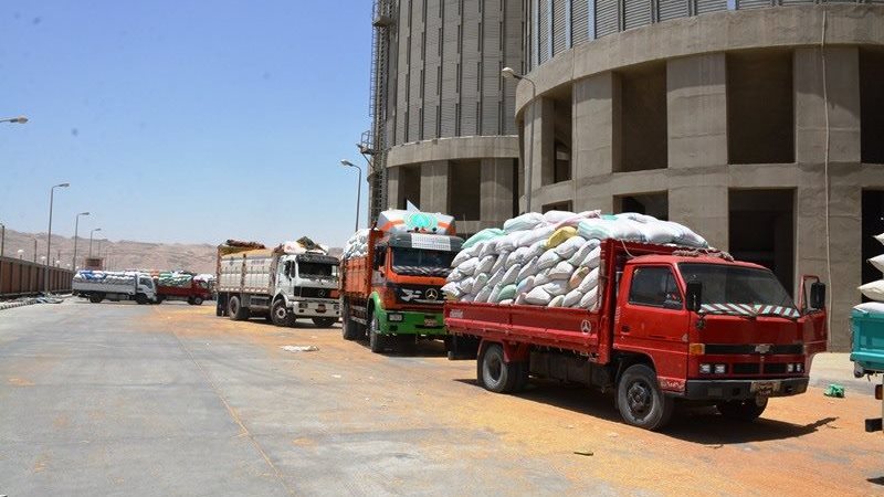 توريد القمح