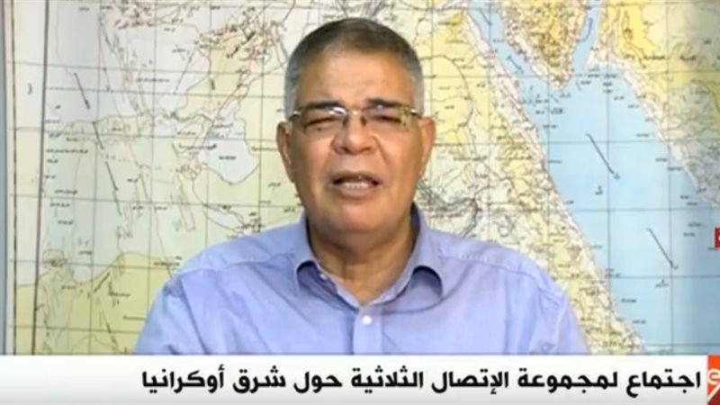 الدكتور نبيل رشوان