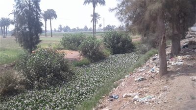 أهالي المعصرة بـ