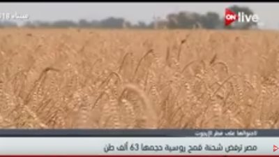 فيديو| مصر ترفض شحنة قمح روسية حجمها 63 ألف طن 