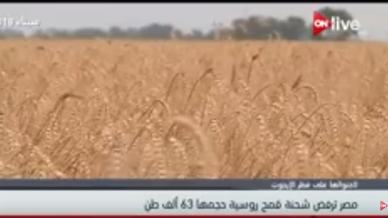 مصر ترفض شحنة قمح