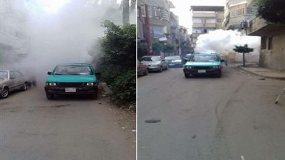 حملات مكثفة لمقاومة البعوض بنطاق حى شرق بـ