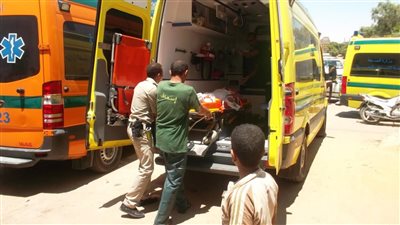 بالأسماء إصابة مزارع وطفليه في حادث تصادم بـ 