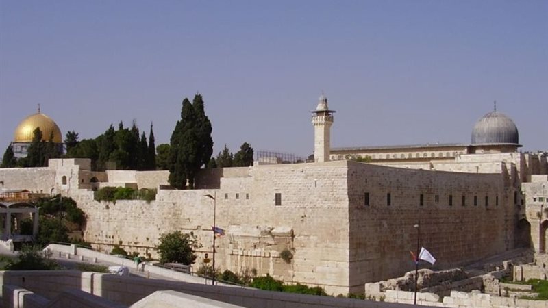 صورة عامة للمسجد