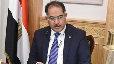 فيديو| وكيل مجلس النواب: اليوم يدل على أن مصر دولة مستقرة