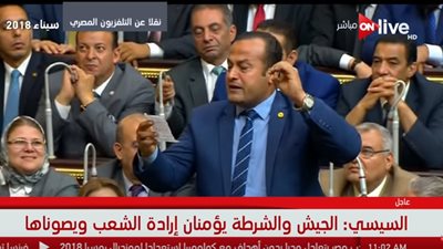 فيديو| بعد مقاطعة النائب محمد عمارة.. السيسي يرد: الله هو حامي البلد لا أنا ولا غيري