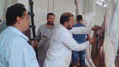 حملة مرورية على المجازر بالدقهلية