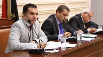 مشروعات البرلمان تناقش دمج القطاعات غير الرسمية بـ