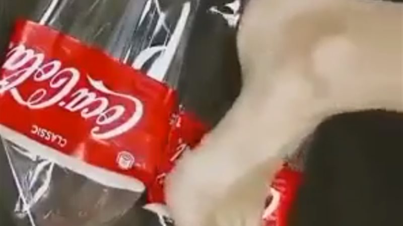 حذاء من زجاجات الكوكاكولا