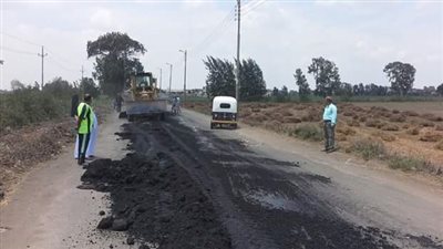 صور| ترميم طريق منية سندوب وشها بـ