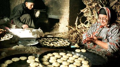 فيديو| 