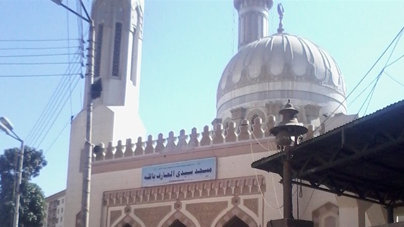 المواطن