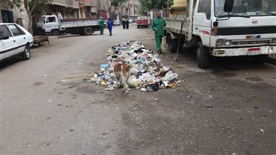 رفع 7 أطنان مخلفات في حملة مكبرة بـ