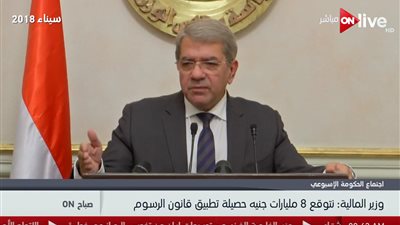 فيديو| وزير المالية: مديونيات قطاعي البترول والكهرباء قاربت التريليون جنيه
