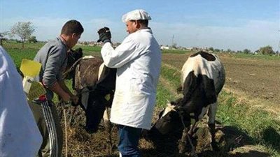 محافظ البحيرة: تم الانتهاء من مناقصة توريد الأدوية البيطرية 