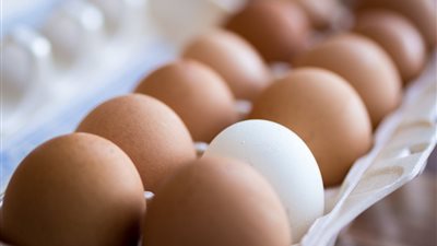 استقرار أسعار البيض.. والكرتونة تسجل 38 جنيهًا
