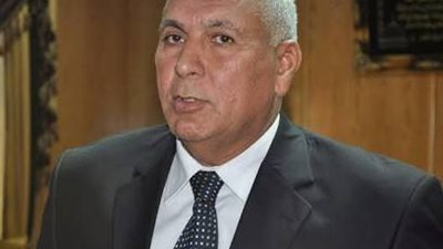 محافظ الوادي الجديد يهنئ 