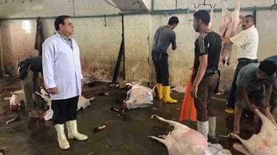 إحالة جميع العاملين بـ