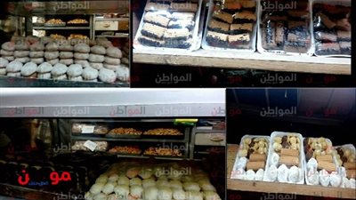 فيديو|