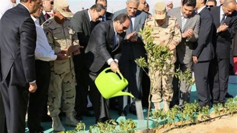 الزراعة في عهد السيسي