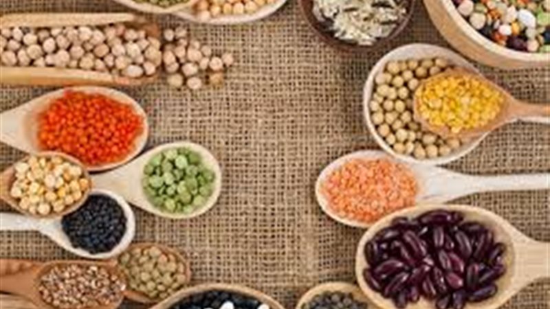 أسعار البقوليات اليوم
