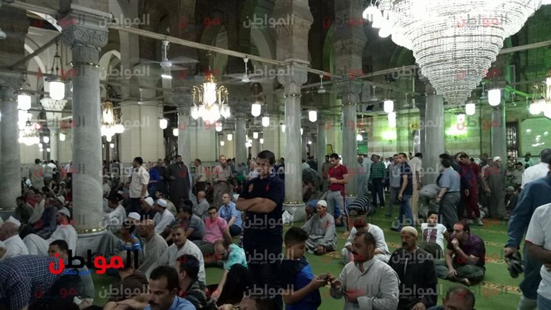 المواطن