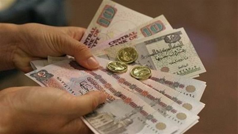 عيدية القطاعات الحكومية