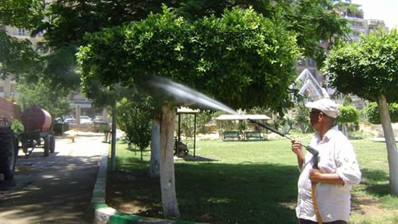 محافظة الدقهلية 