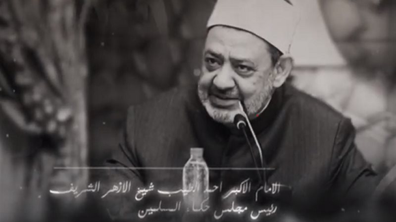 برنامج الإمام الطيب