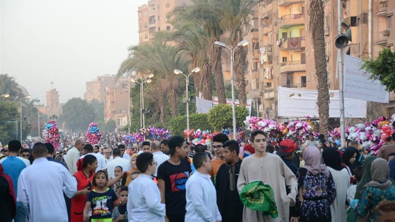 المواطن