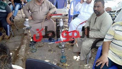صور| السعادة تغمر جماهير الوادى الجديد عقب نهاية الشوط الاول من مباراة مصر وأوروجواي